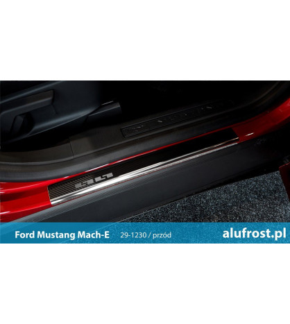 Seuil de porte + fibre en carbone FORD C-MAX II