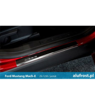 Einstiegsleisten + carbon folie FORD C-MAX II