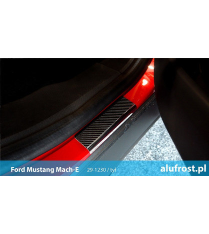 Einstiegsleisten + carbon folie FORD C-MAX II