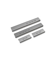 Door sills FORD S-MAX II / GALAXY III